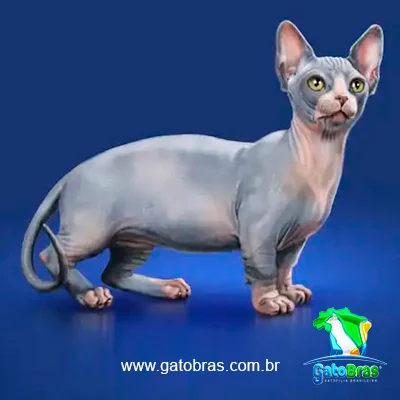 Minskin